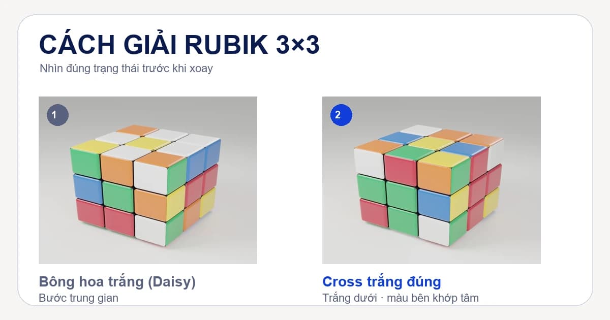 So sánh bông hoa trắng và Cross trắng đúng trong hướng dẫn giải Rubik 3x3